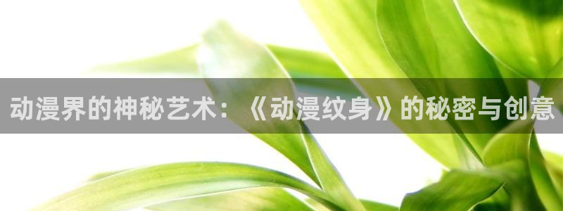 赎罪日风车动漫：动漫界的神秘艺术：《动漫纹身》的秘密与创意