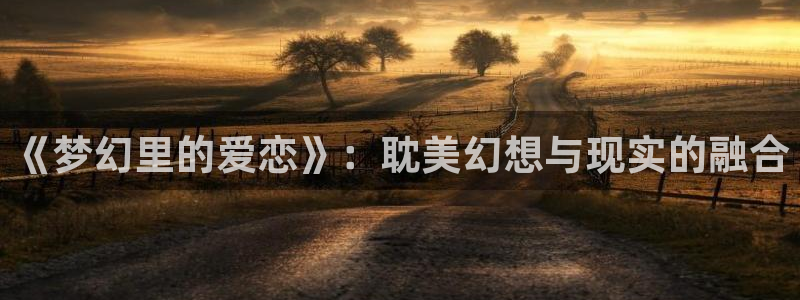 风车动漫网站手机版：《梦幻里的爱恋》：耽美幻想与现实的融合