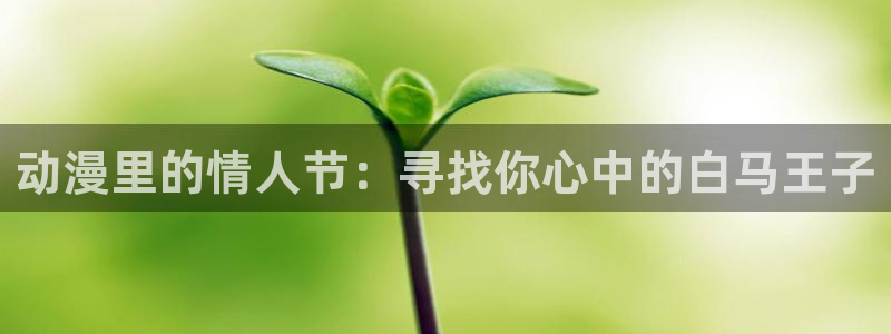 僧侣风车动漫：动漫里的情人节：寻找你心中的白马王子
