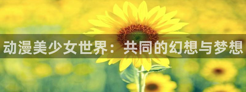日常在线观看风车动漫：动漫美少女世界：共同的幻想与梦想
